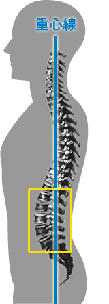 腰椎・骨盤の歪み
